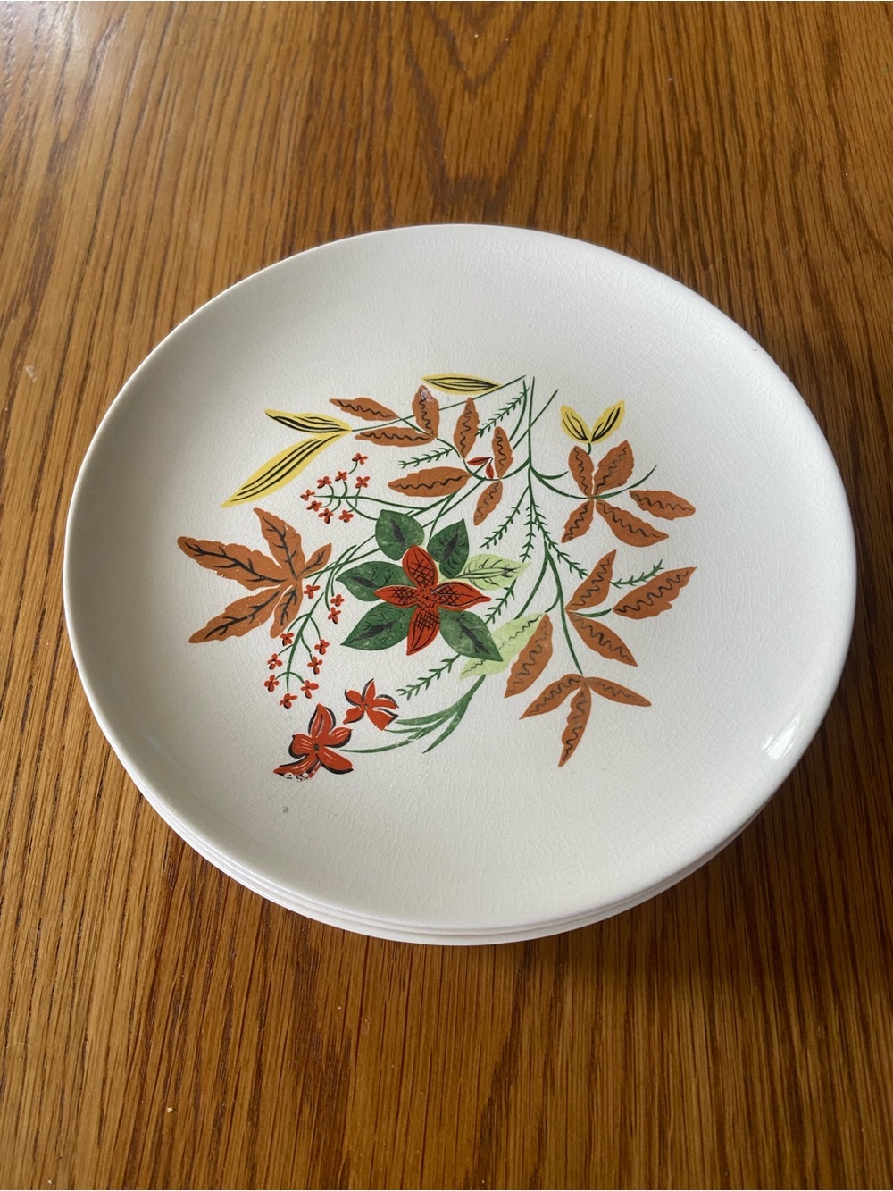 4 MCM Universal Ballerina White Salad Plate with Autumn Floral Motif